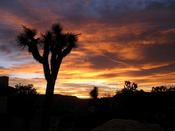 Vacation Rentals (Pioneertown, California, United States)