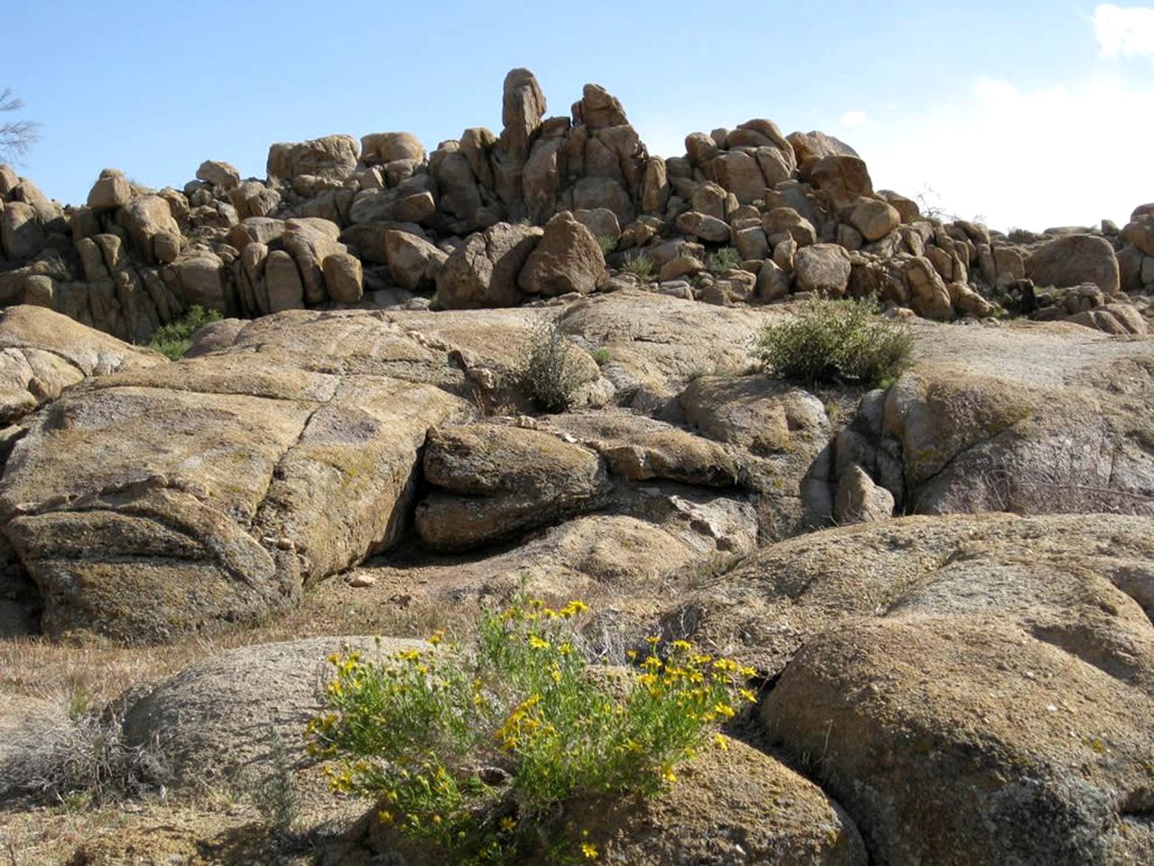 Unique Desert Rental near Secluded Wildlife Sanctuary in Joshua Tree, California