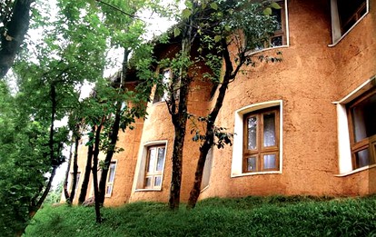 undefined photo 4