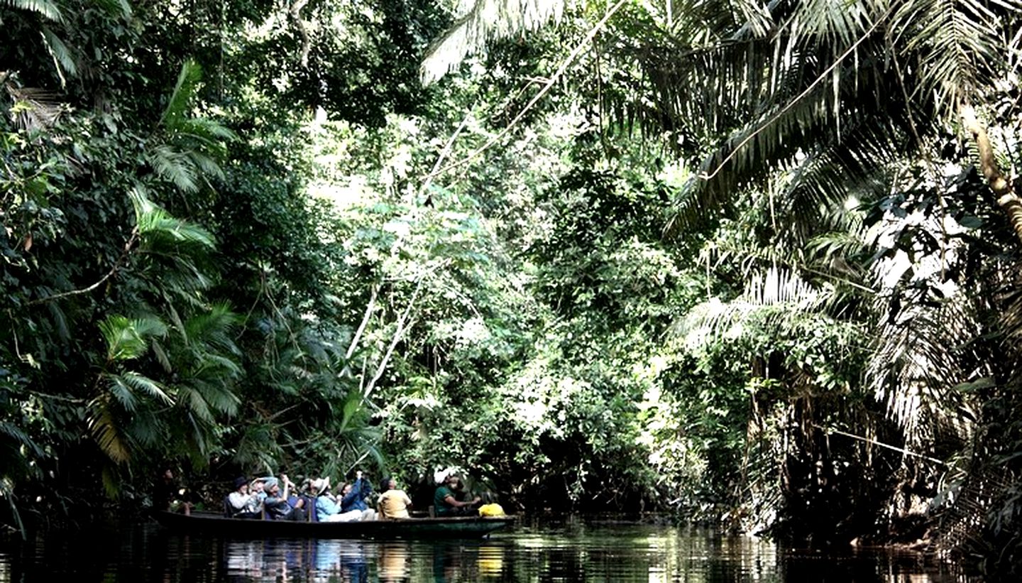 Unique Eco-Lodges Tucked into Rainforest Jungle, Ecuador