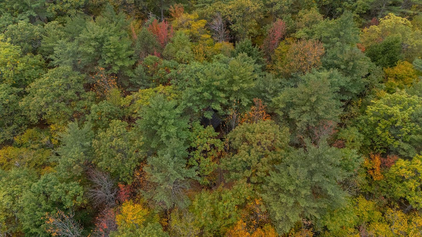 Tree House Rental Ideal for a Unique Getaway near Lake Sunapee in New Hampshire