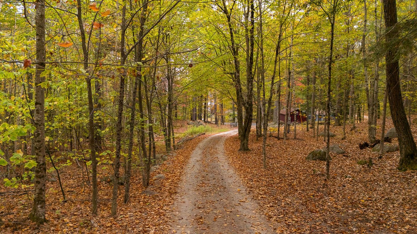 Tree House Rental Ideal for a Unique Getaway near Lake Sunapee in New Hampshire