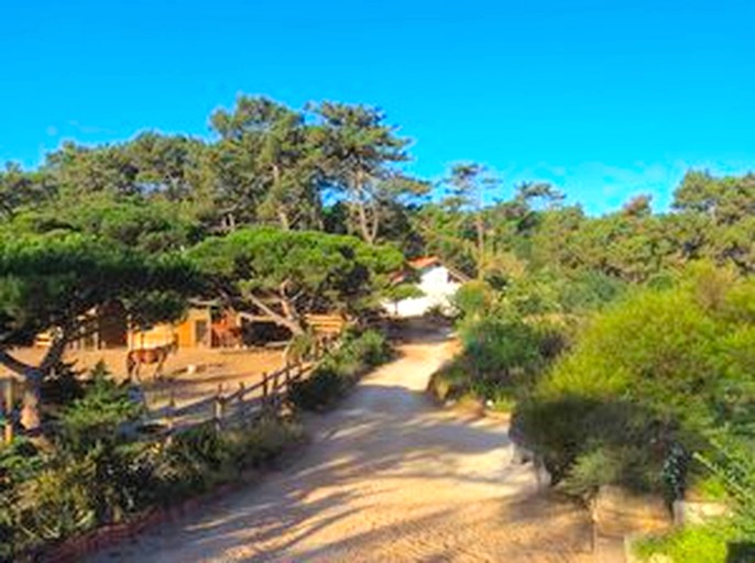 Yurts (Colares, Lisbon District, Portugal)