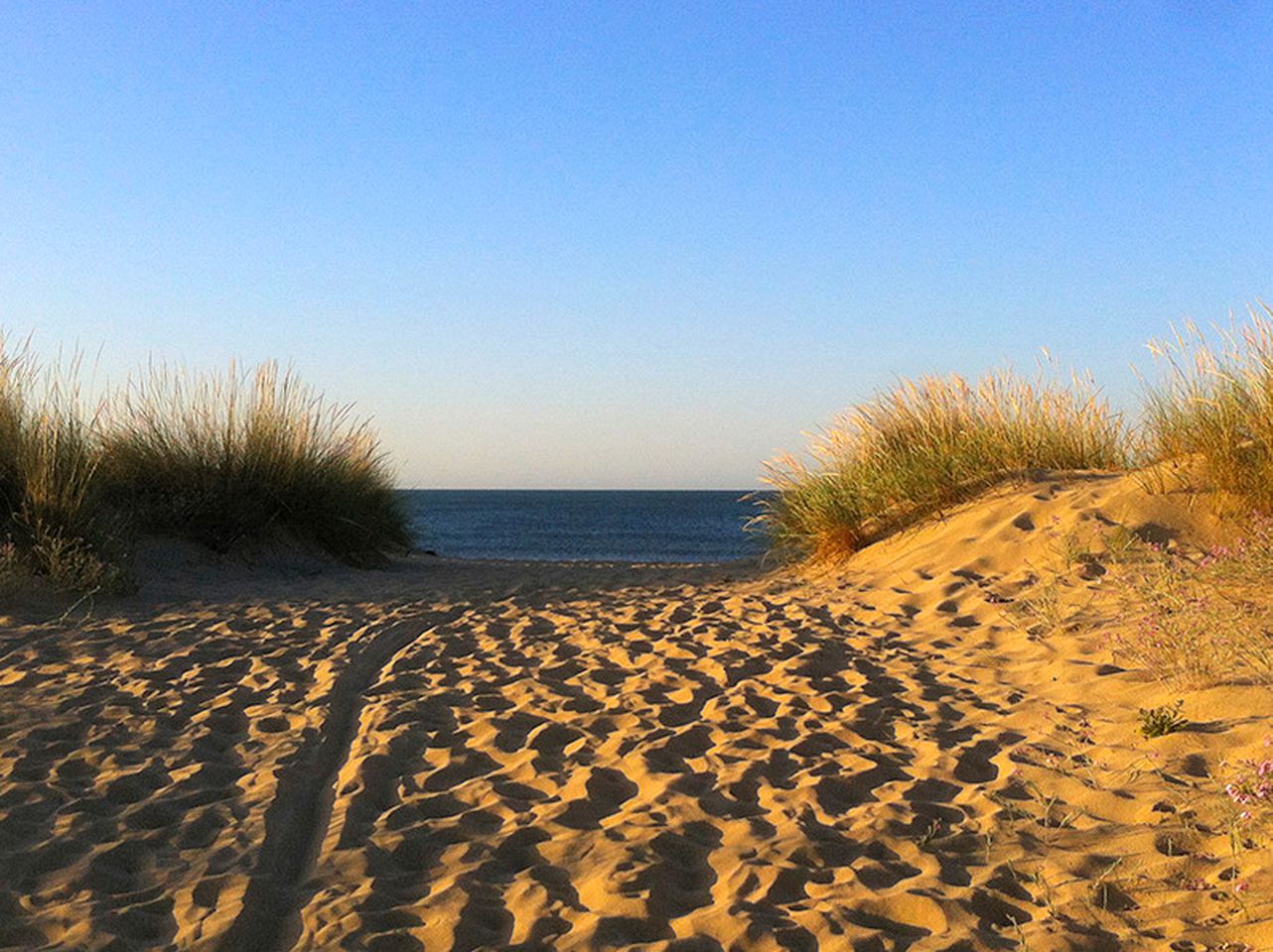Unique Glamping Accommodation near the Beaches of Huelva, Spain