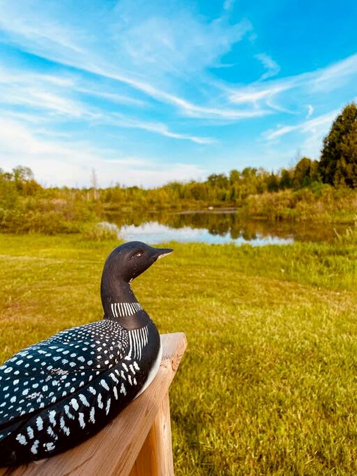 Gorgeous and Unique Glamping Caravan near Miller Lake, Perfect for a Weekend of Swimming and Hiking