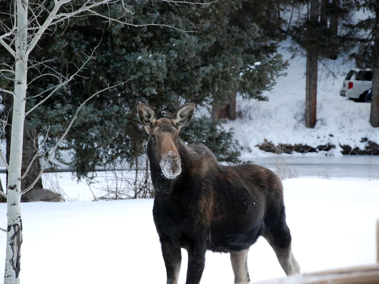 Picturesque Cottage for a Riverside Retreat near Big Sky, Montana