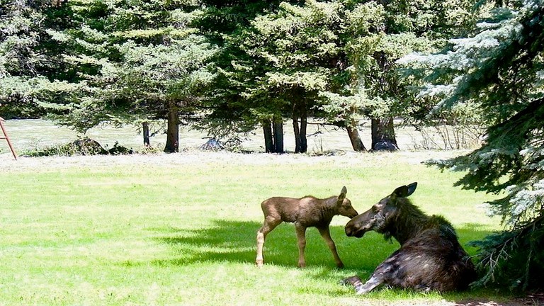 Cottages (Gallatin Gateway, Montana, United States)