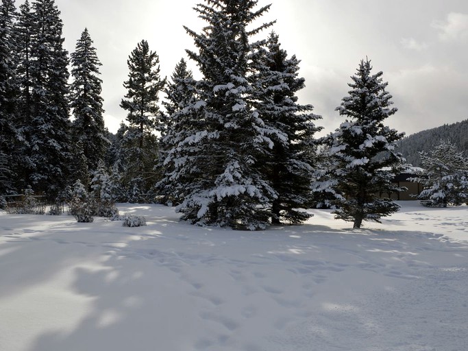 Cottages (Gallatin Gateway, Montana, United States)