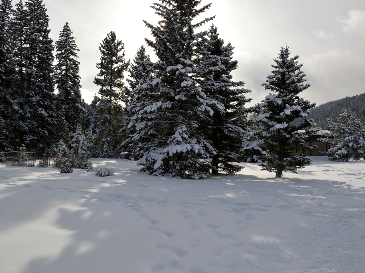 Picturesque Cottage for a Riverside Retreat near Big Sky, Montana