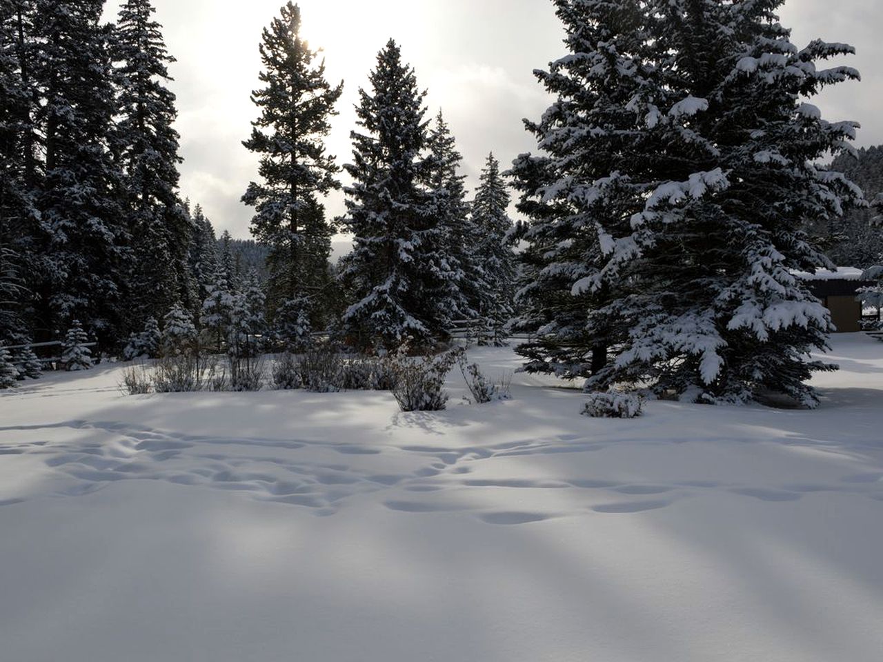 Picturesque Cottage for a Riverside Retreat near Big Sky, Montana