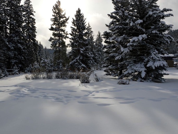 Cottages (Gallatin Gateway, Montana, United States)