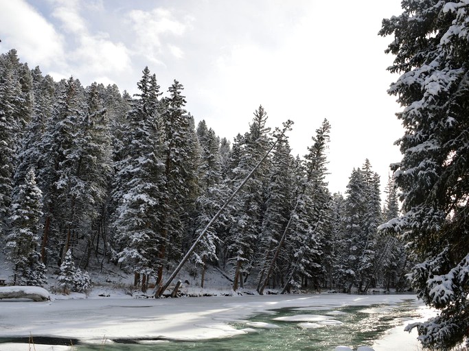 Cottages (Gallatin Gateway, Montana, United States)