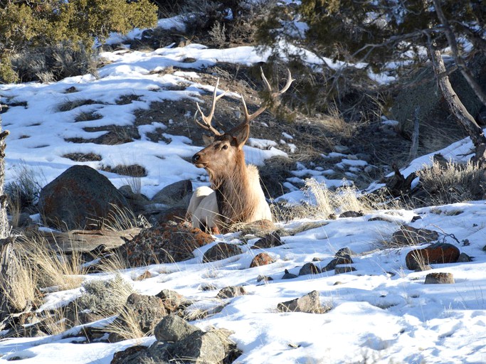 Cottages (Gallatin Gateway, Montana, United States)