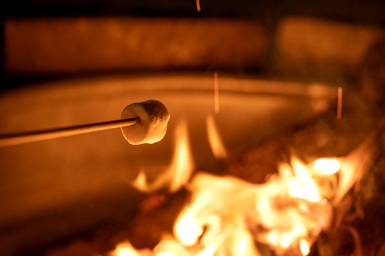 Tree Houses (United States of America, Townsend, Georgia)