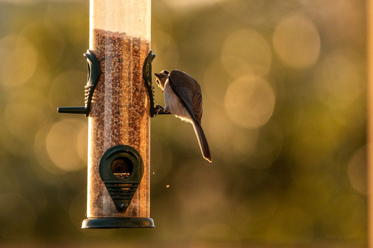 Unique Marshfront Treehouse Stay with Heated Soaking Tub & Adventure-Inspired Escape in Townsend, Georgia