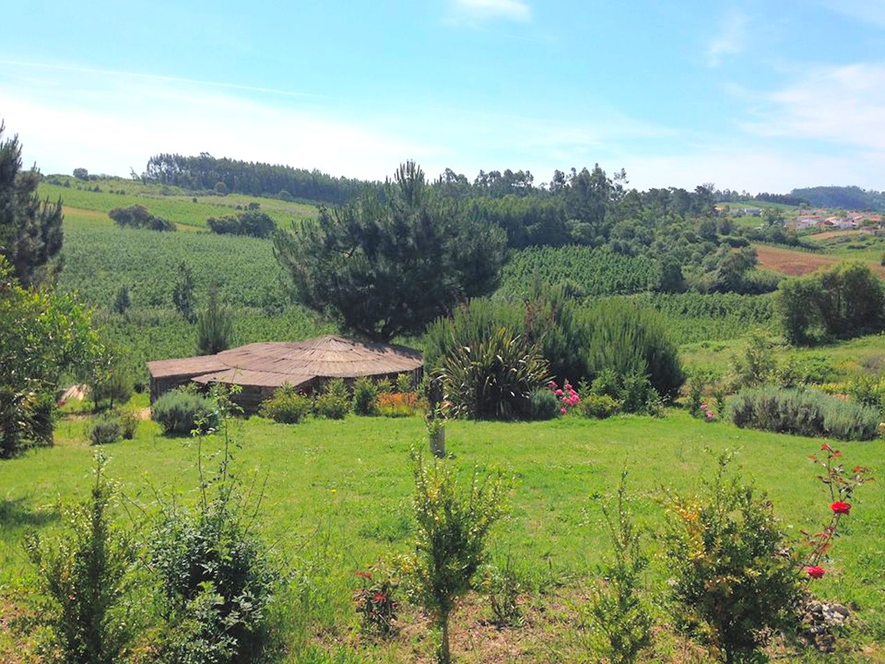 Huts (Vimeiro, Lisbon District, Portugal)