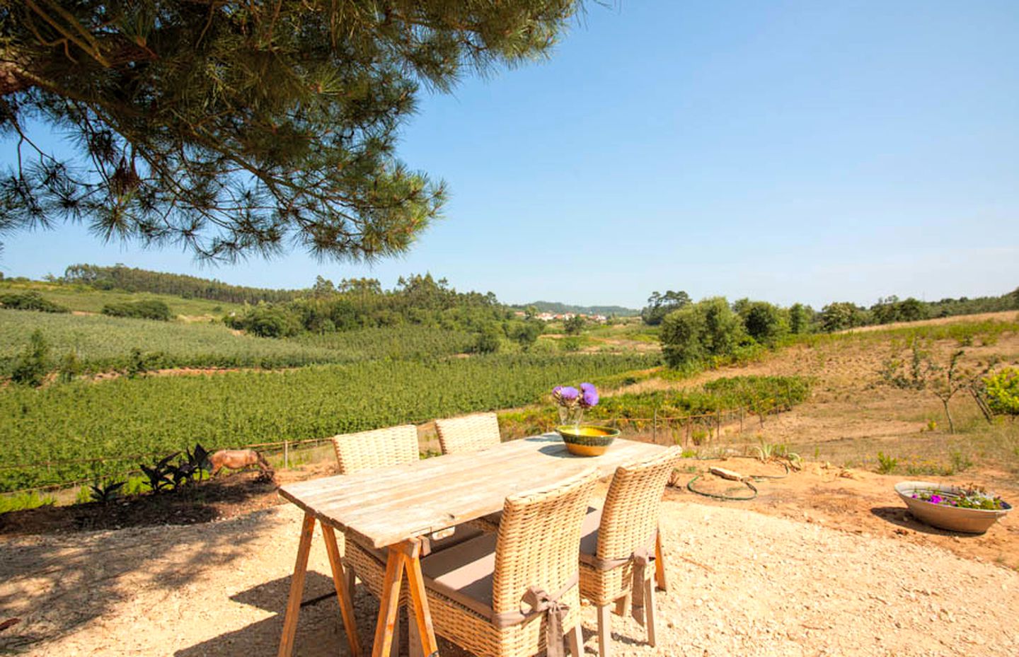 Unique Octagonal Glamping Getaway with Gorgeous Views near Lisbon in Portugal