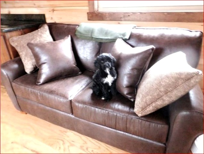 Cabins (Mill Spring, North Carolina, United States)