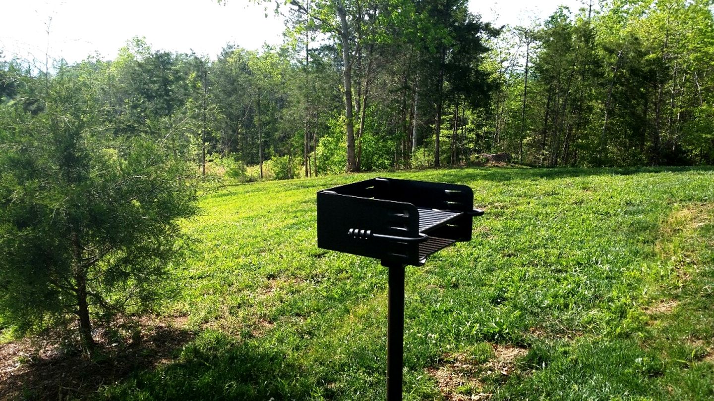 Unique Pet-Friendly Mountain Cabin Rental near Tryon International Equestrian Center