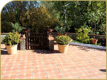 undefined photo 3