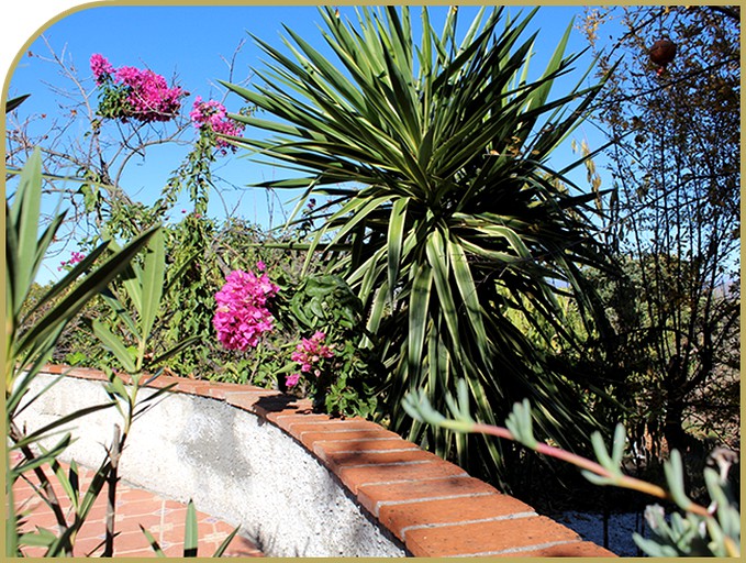 Bell Tents (Malaga, Andalusia, Spain)