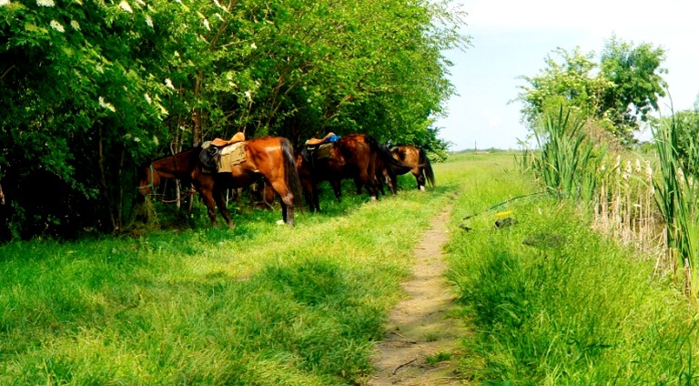 Yurts (Ruzsa, Southern Great Plain, Hungary)