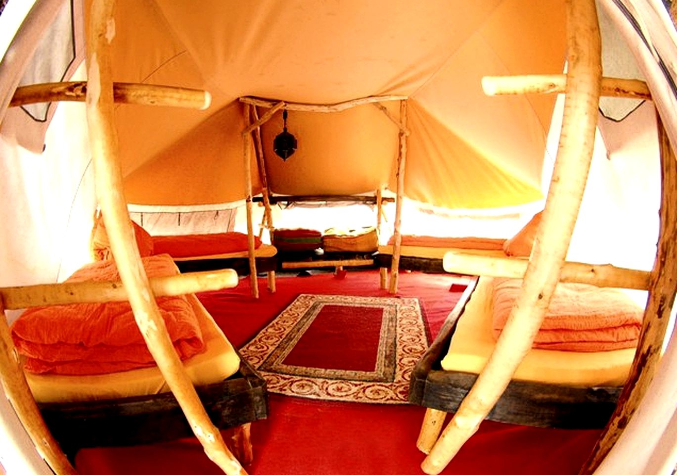 Safari Tents (Neißeaue, Saxony, Germany)