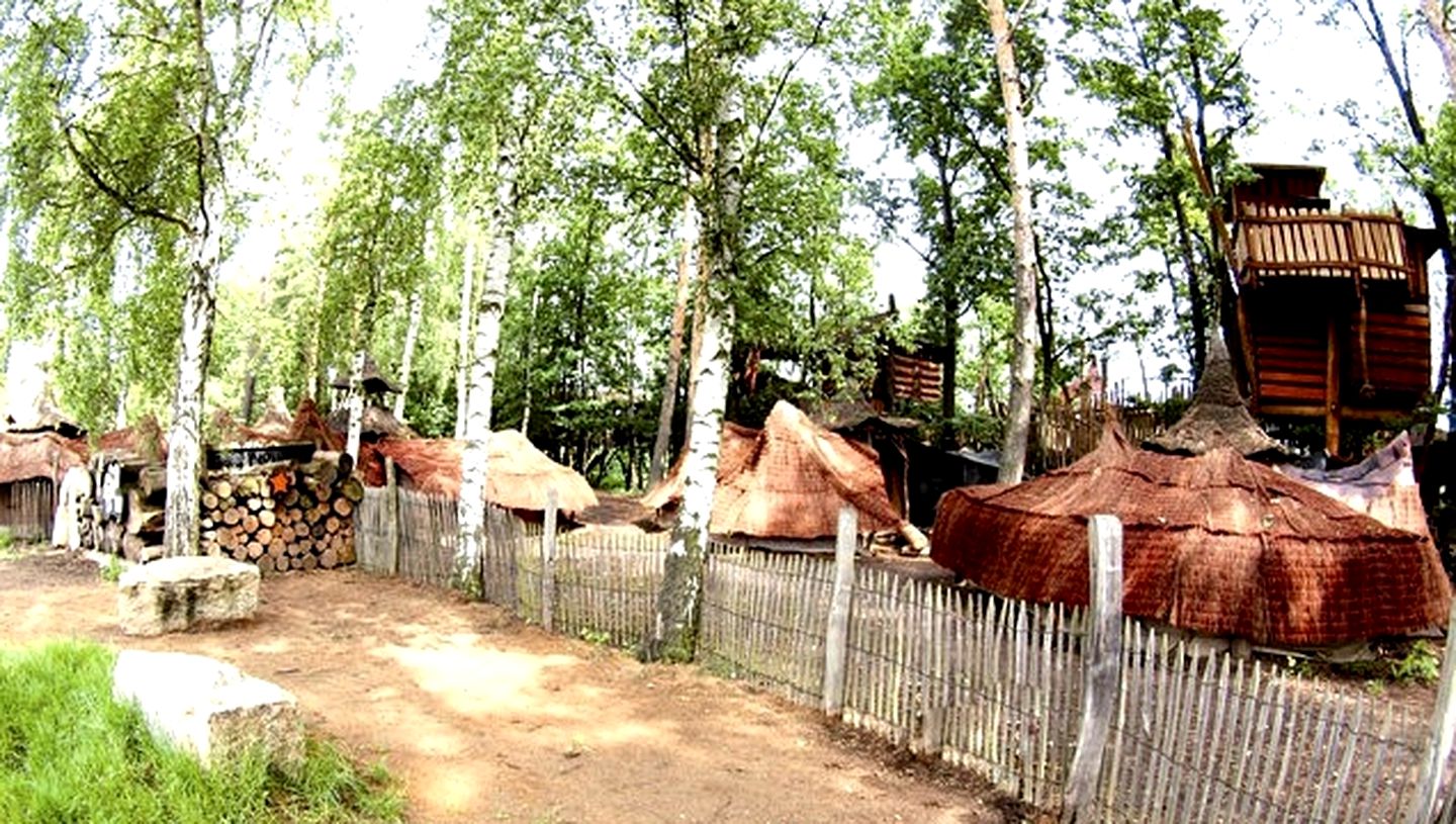 Unique Tents Nestled Below Treehouses in Germany