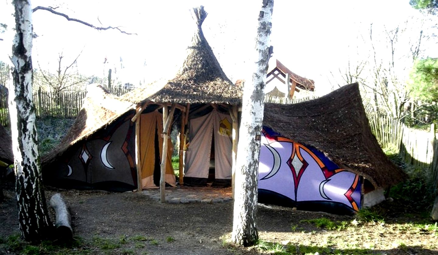Unique Tents Nestled Below Treehouses in Germany