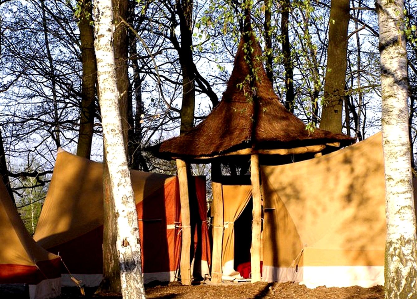 Unique Tents Nestled Below Treehouses in Germany
