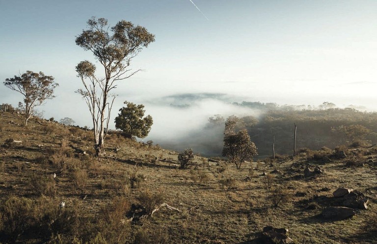 Tiny Houses (Australia, Windeyer, New South Wales)