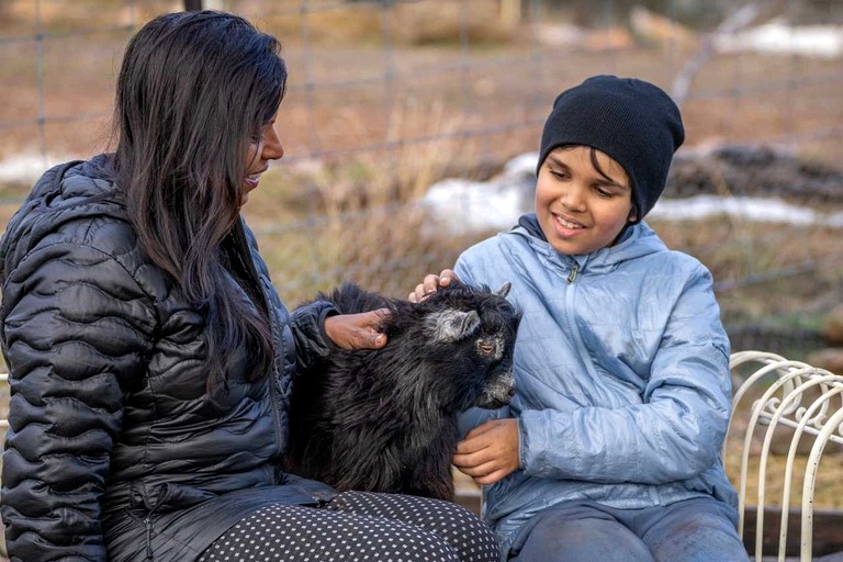 Tiny Houses (Australia, Windeyer, New South Wales)