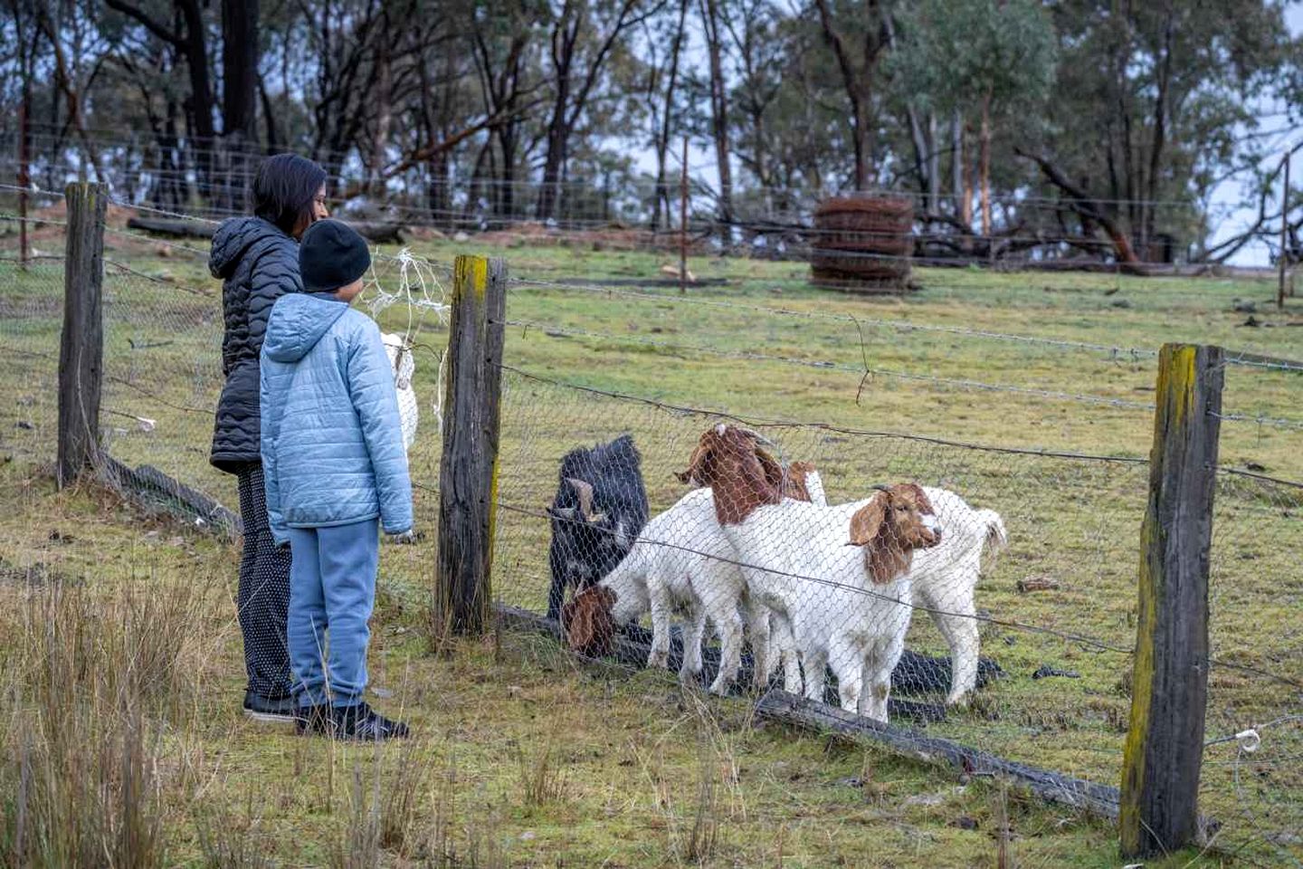 Unique Tiny House with Hot-Tub in New South Wales