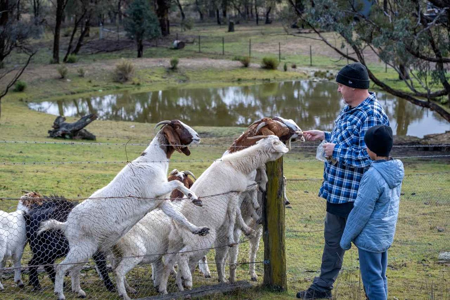 Unique Tiny House with Hot-Tub in New South Wales