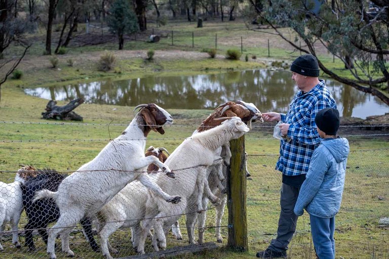 Tiny Houses (Australia, Windeyer, New South Wales)