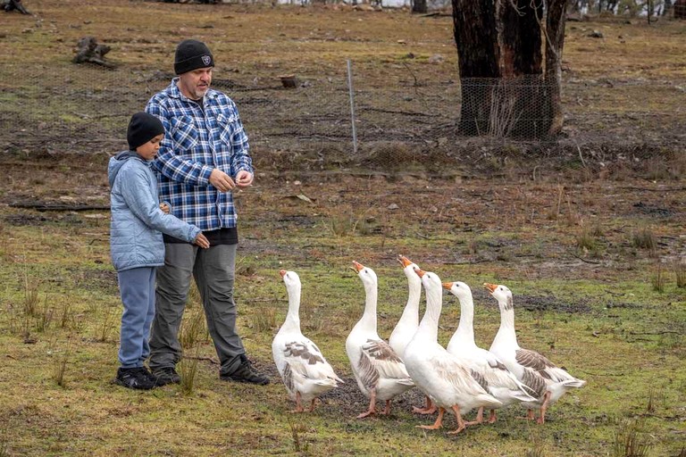 Tiny Houses (Australia, Windeyer, New South Wales)