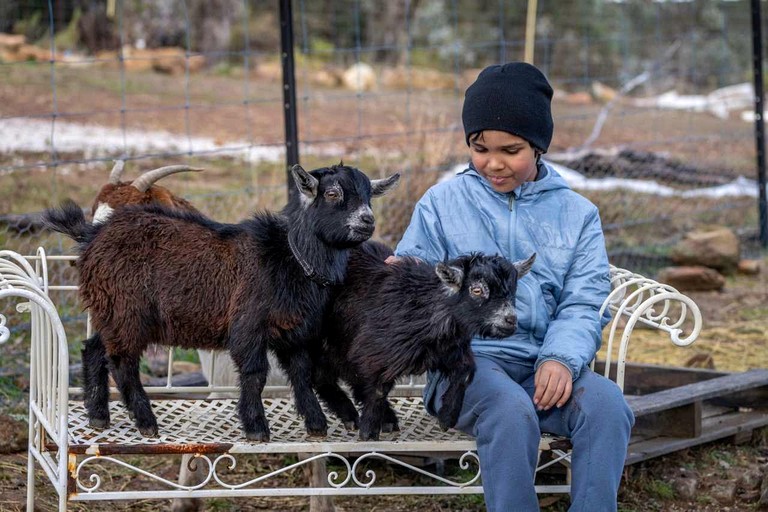 Tiny Houses (Australia, Windeyer, New South Wales)