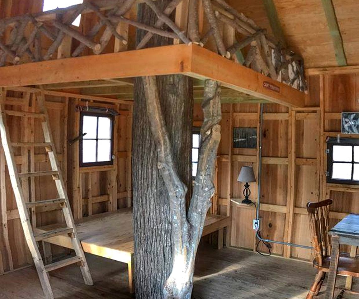 Unique in the Woods Windsor, North Carolina