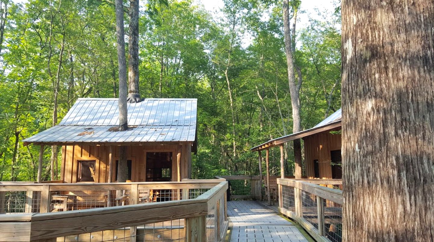 Unique in the Woods Windsor, North Carolina