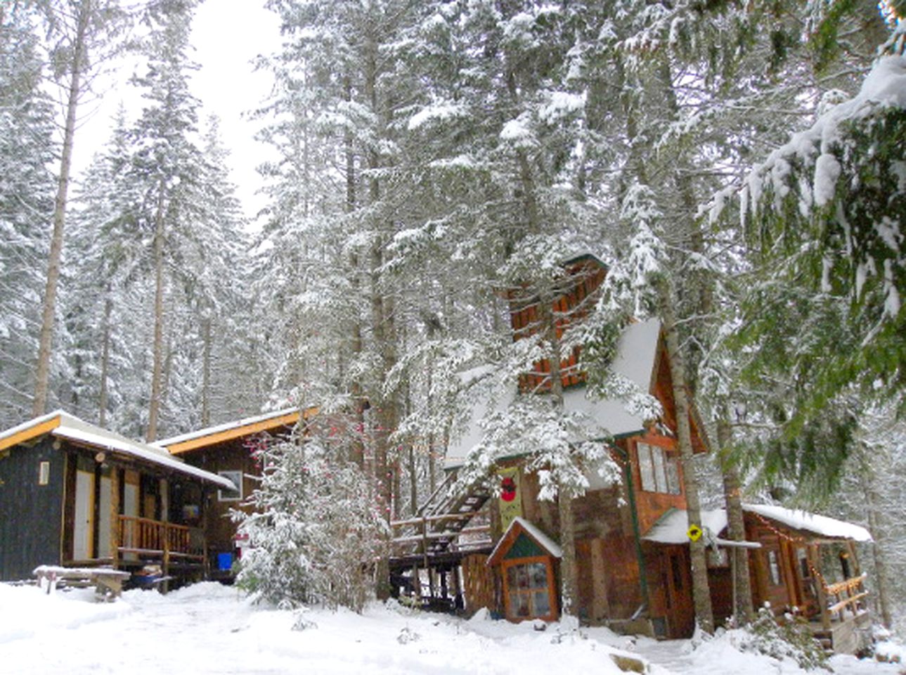 Tree House Lake Shuswap, British Columbia Glamping Hub