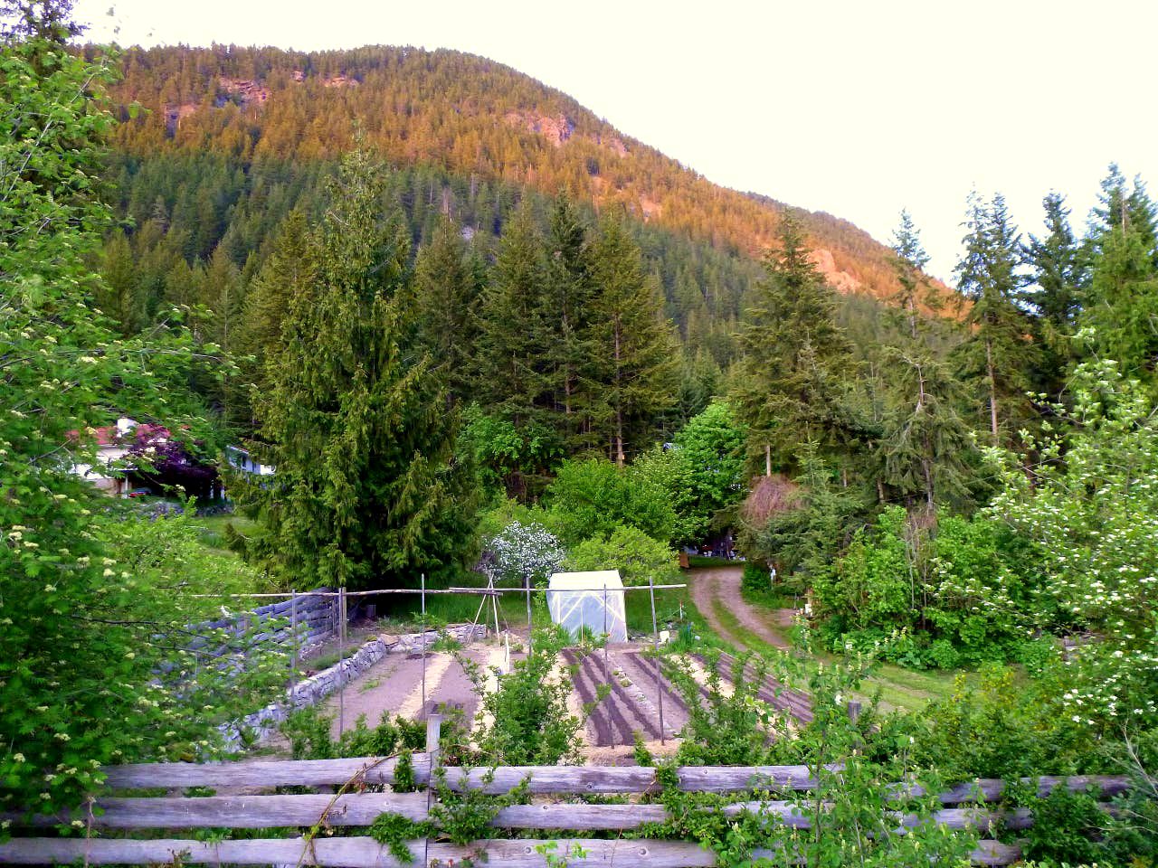 Tree House Lake Shuswap, British Columbia Glamping Hub