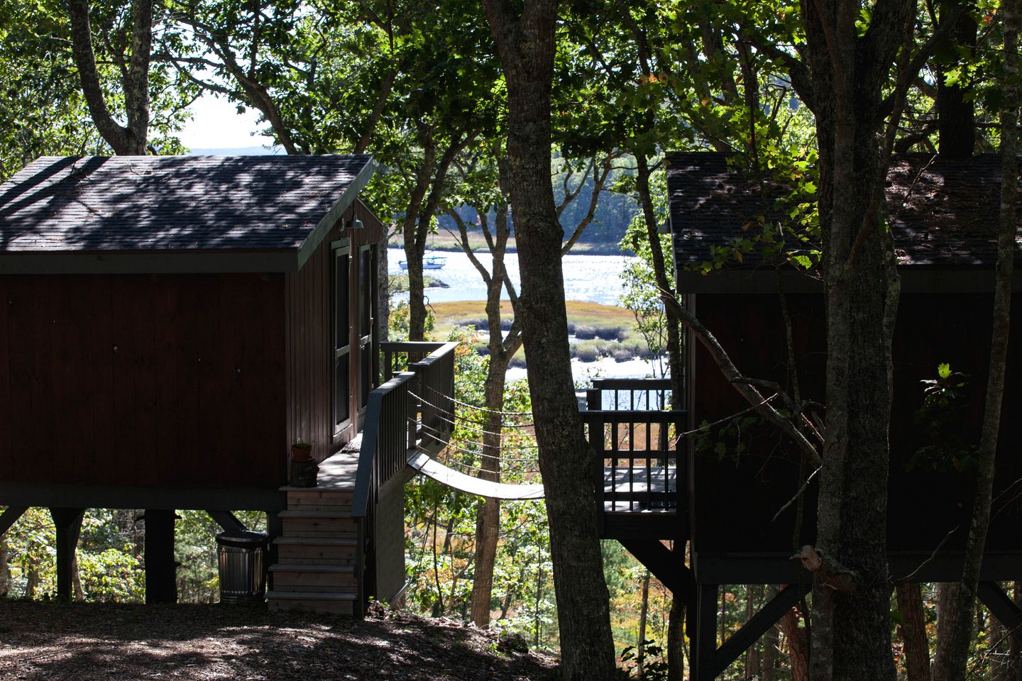 Tree House Rental on the Coast of Maine