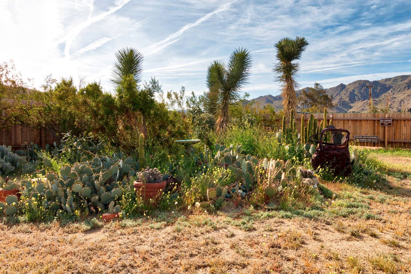 Cactus Adobe Villa in Twentynine Palms