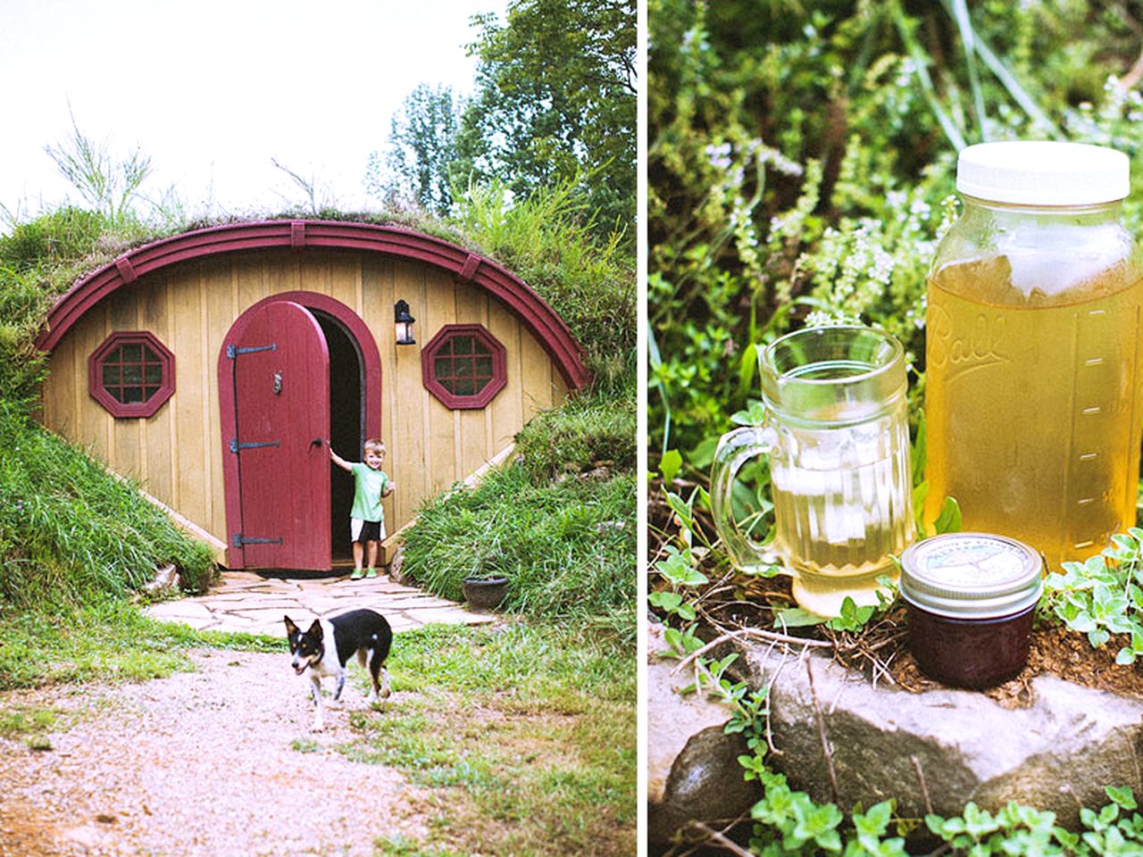 Unique Vacation Rental Nashville, Tennessee Glamping Hub