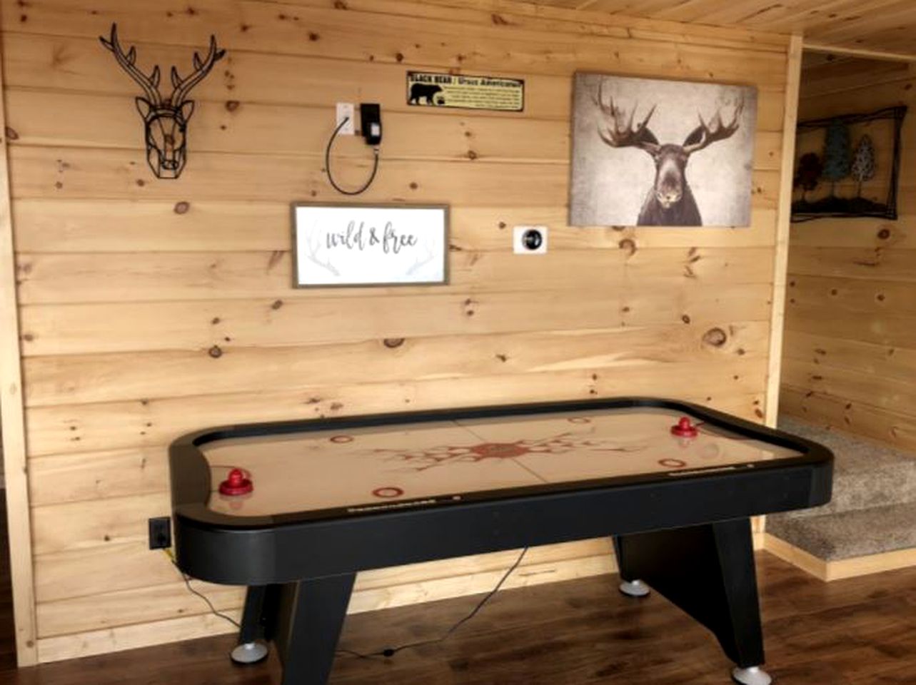 Spectacular Dog-Friendly Cabin with Mountain Views in Sevierville, Tennessee