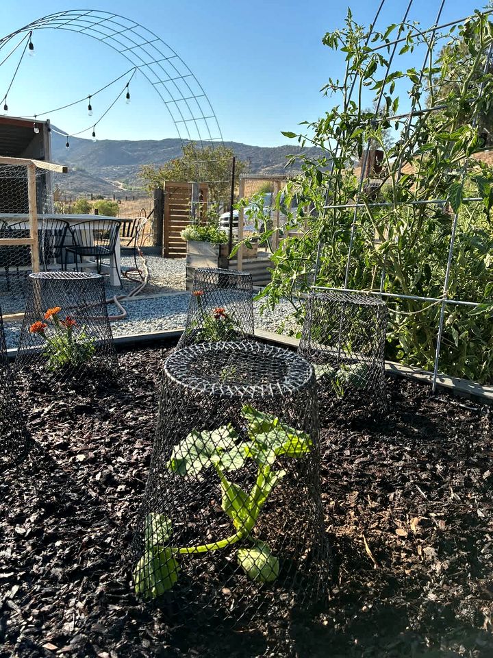 Unplug in a Rustic-Chic Tiny Home: Stargazing Patio, Cookout Space & Nature Views in Aguanga, California
