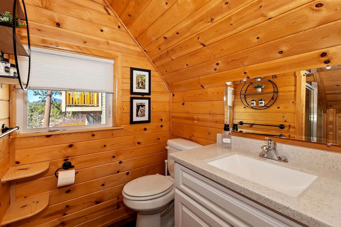 Unwind with a View: Cabin Overlooking the Slopes in Big Bear Lake, California