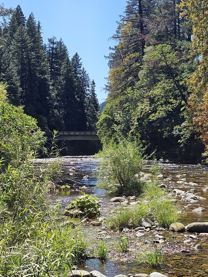 Stunning Cottage with Nice River Sights and Barbecue in Castella, California
