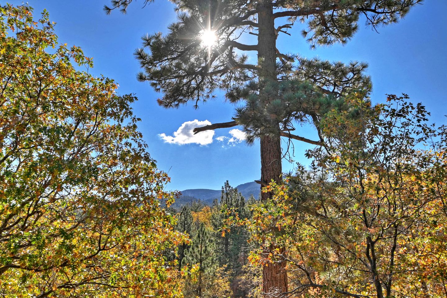 Unforgettable Design Cabin with Fire Pit and Spectacular Game Room in Big Bear Lake, California