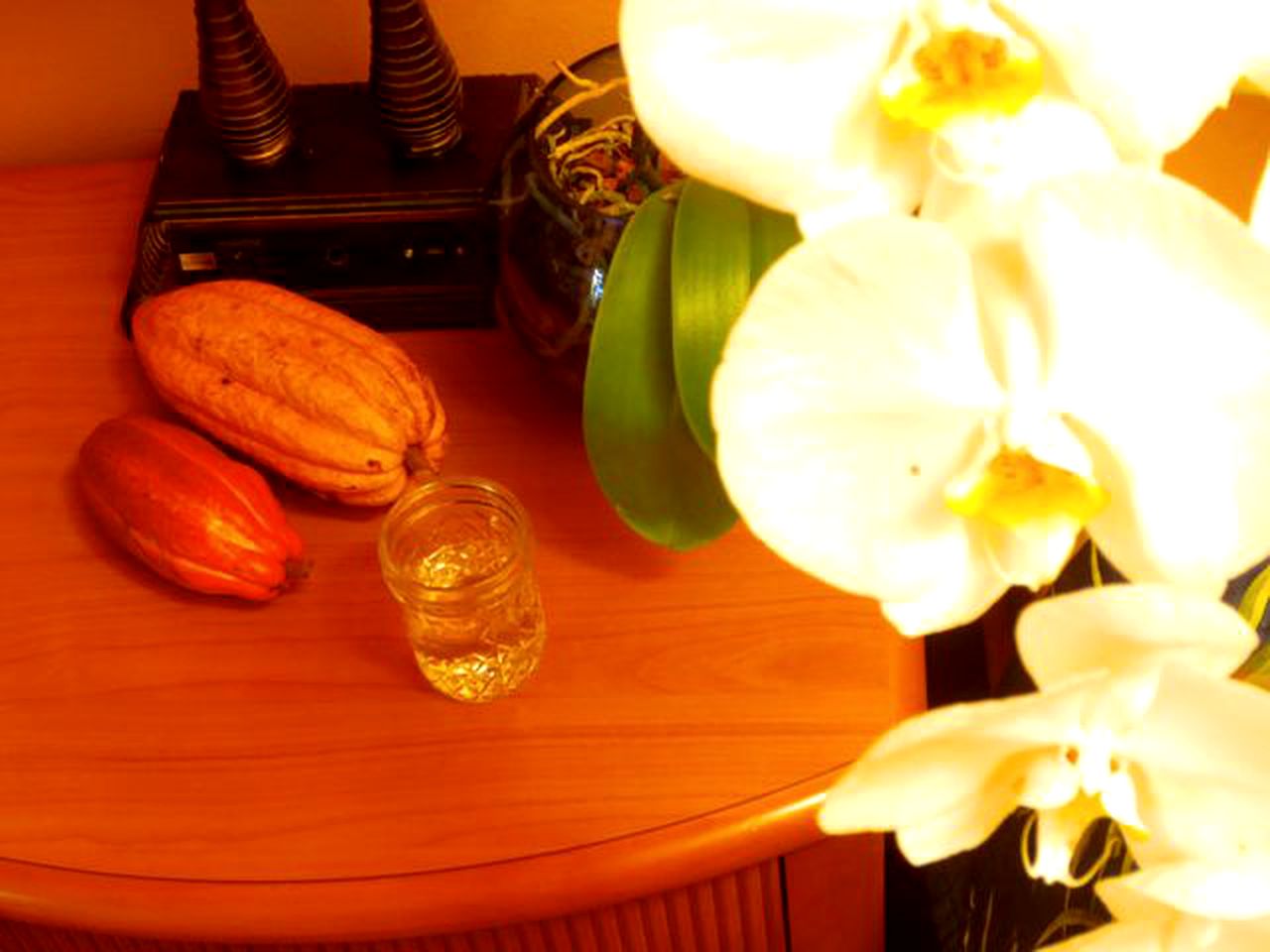 Upscale Lodge Suites on Sustainable Farm and Wellness Retreat near Pahoa, Hawaii